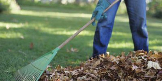 How to make mulch from leaves