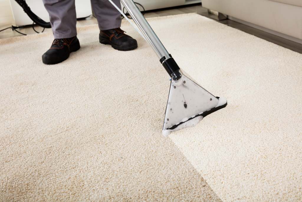 Why do carpets look dirty faster after cleaning