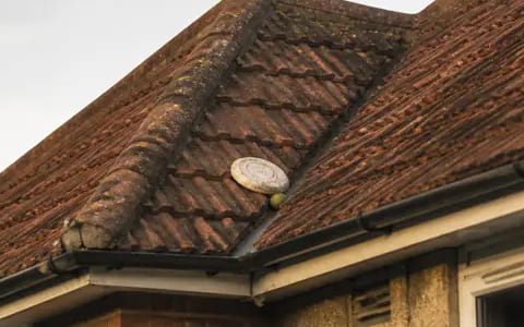 A small round white disc sits on a mossy tiled roof slope beside the ridge